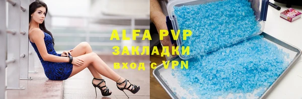 прущие грибы Александровское
