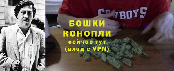 прущие грибы Александровское