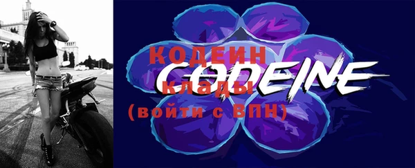 прущие грибы Александровское