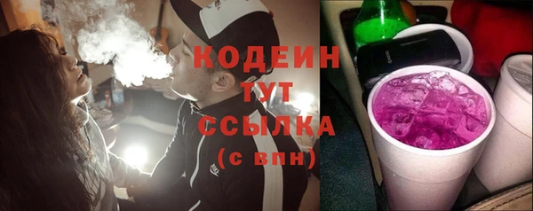 прущие грибы Александровское