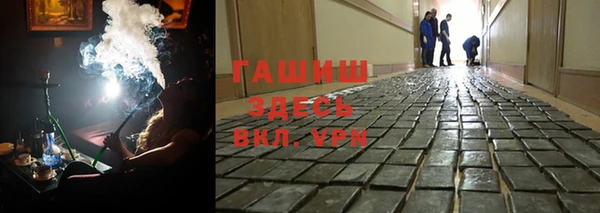 прущие грибы Александровское