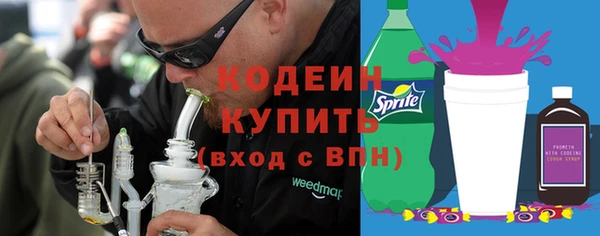 прущие грибы Александровское