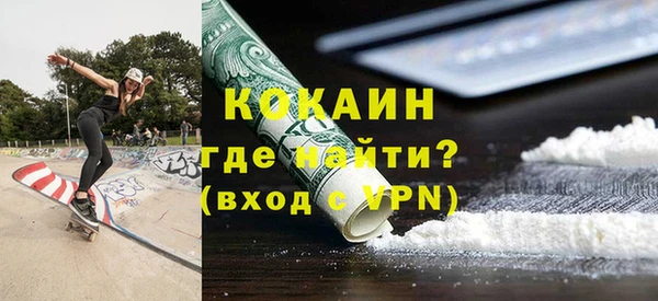 прущие грибы Александровское
