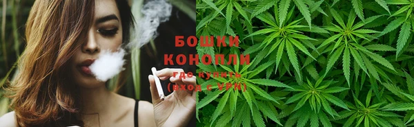прущие крисы Кущёвская