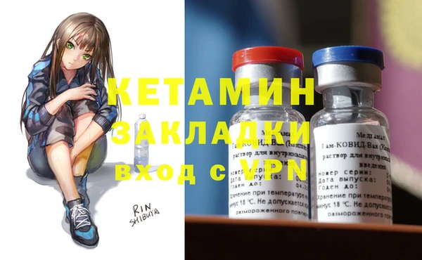 прущие грибы Александровское