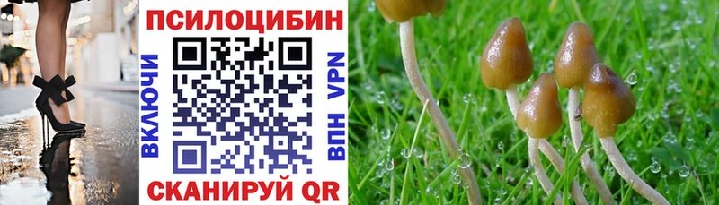 Псилоцибиновые грибы мицелий  наркота  Златоуст 