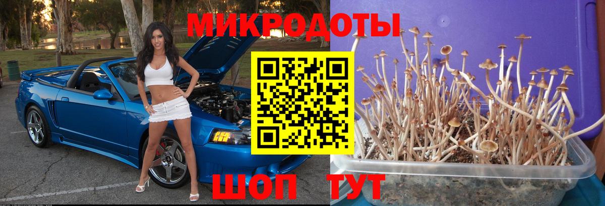 Гашиш  Меф МЯУ МЯУ  Каннабис  Меф кристаллы  Златоуст  Вход с VPN 